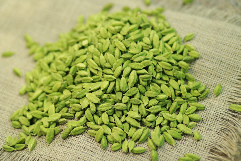 Bulk Green Cardamom Supplier - Wholesale Green Cardamom